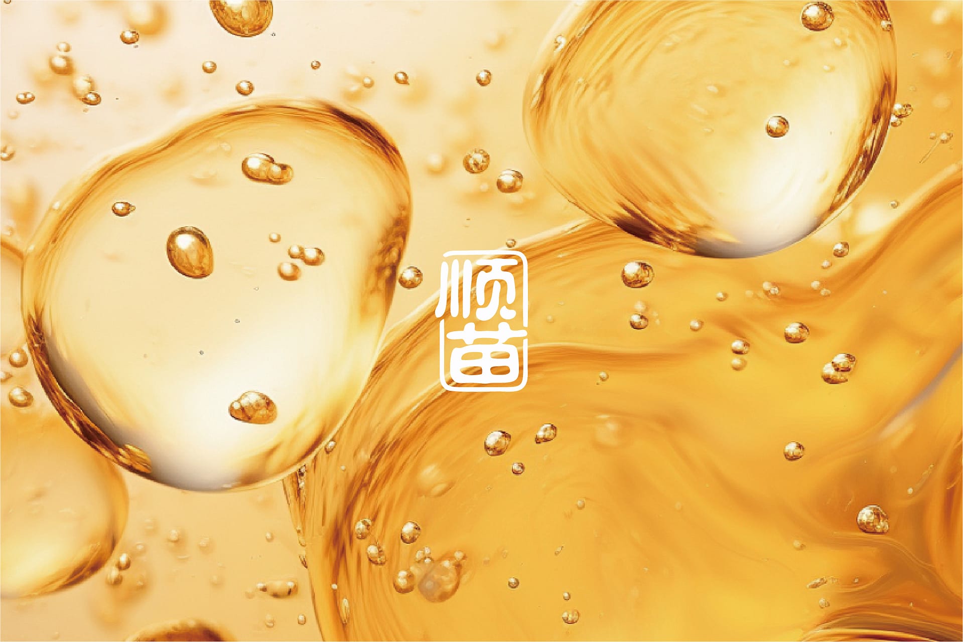 顺苗 (2)